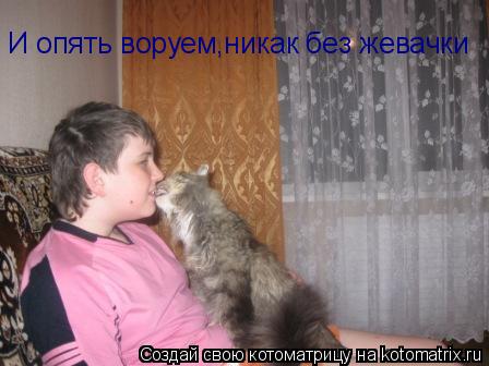 Котоматрица: И опять воруем,никак без жевачки