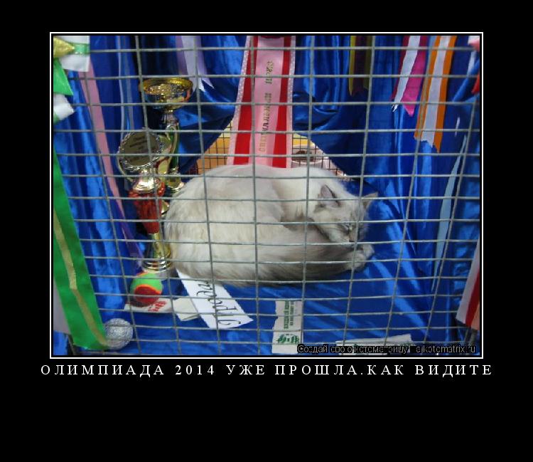 олимпиада 2014 уже прошла.как видите ... Котоматрица: олимпиада 2014 уже прошла.как видите