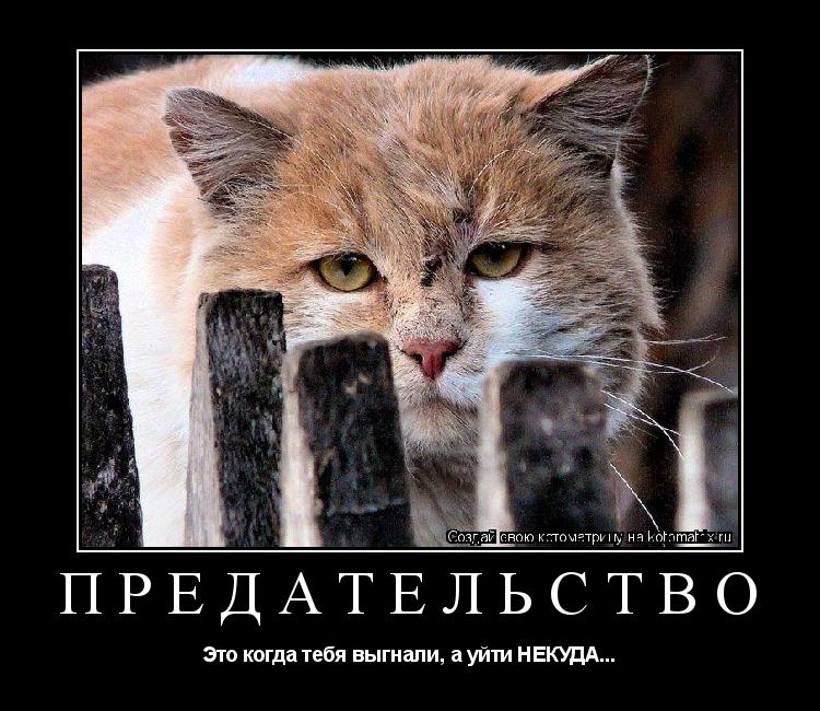ПРЕДАТЕЛЬСТВО Это когда тебя выгнали, а уйти НЕКУДА...... Котоматрица: ПРЕДАТЕЛЬСТВО Это когда тебя выгнали, а уйти НЕКУДА...