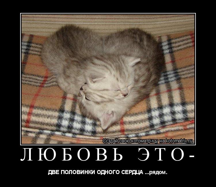 Котоматрица: Любовь это- ДВЕ ПОЛОВИНКИ ОДНОГО СЕРДЦА ...рядом.