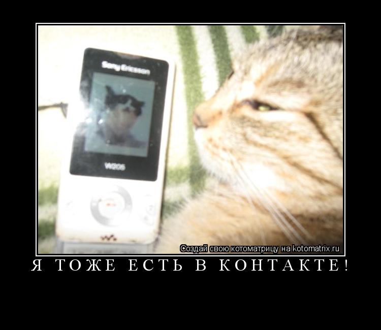 я тоже есть в контакте! ... Котоматрица: я тоже есть в контакте!
