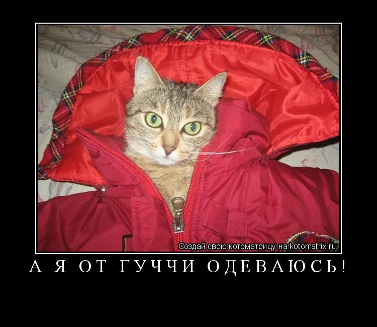 а я от гуччи одеваюсь! ... Котоматрица: а я от гуччи одеваюсь!