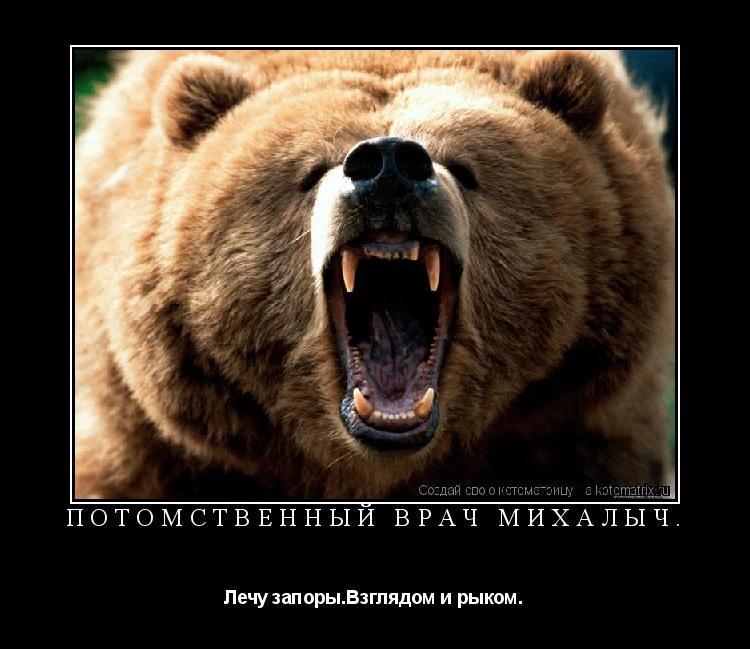 Потомственный врач Михалыч. Лечу запоры.Взглядом и рыком.... Котоматрица: Потомственный врач Михалыч. Лечу запоры.Взглядом и рыком.
