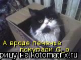 Котоматрица: покупали О_о А вроде печенье