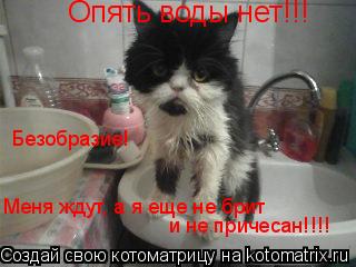 Котоматрица: Опять воды нет!!! Безобразие! Меня ждут, а я еще не брит и не причесан!!!!