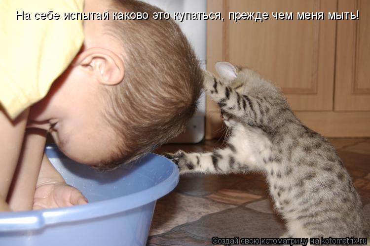 Котоматрица: На себе испытай каково это купаться, прежде чем меня мыть!