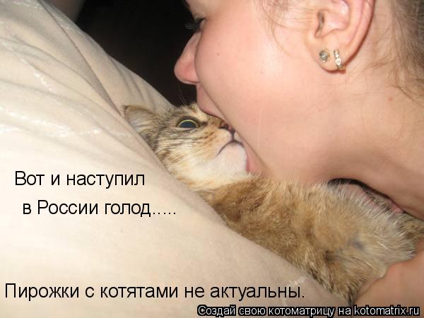 Котоматрица: в России голод..... Пирожки с котятами не актуальны. Вот и наступил