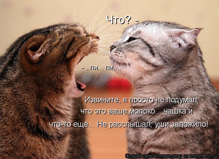 Котоматрица: Что? - - ..пи... пи.... Извините, я просто не подумал, -  что это ваше молоко... чашка и ... что-то ещё... Не расслышал, уши заложило!