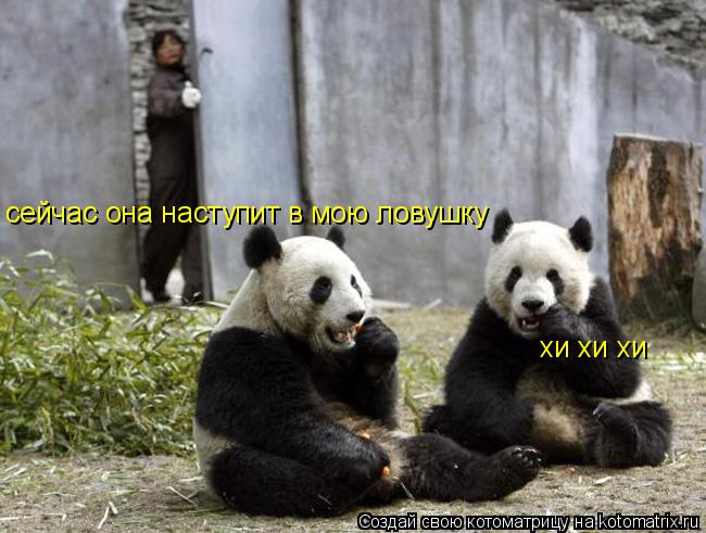 Котоматрица: хи хи хи сейчас она наступит в мою ловушку