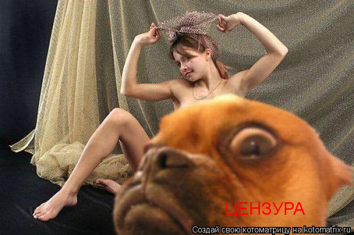 Котоматрица: ЦЕНЗУРА