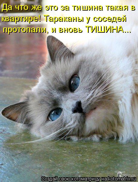 Да что же это за тишина такая в квартире! Тараканы у соседей протопали, и вновь ТИШИНА...... Котоматрица: Да что же это за тишина такая в квартире! Тараканы у соседей протопали, и вновь ТИШИНА...