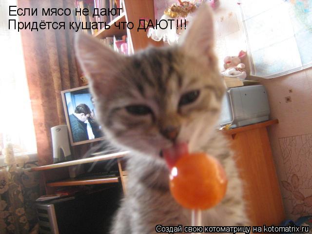 Котоматрица: Если мясо не дают Придётся кушать что ДАЮТ!!!