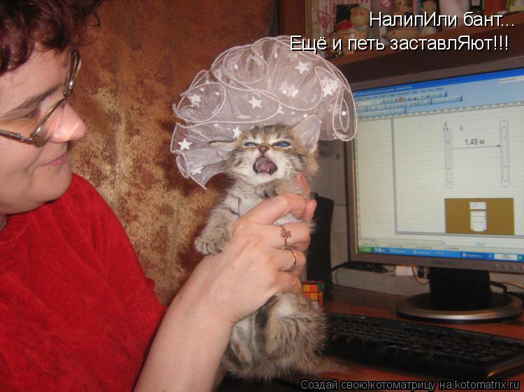 Котоматрица: НалипИли бант... Ещё и петь заставлЯют!!!