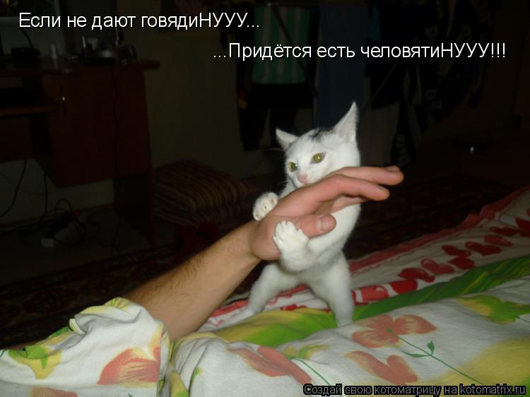 Если не дают говядиНУУУ... ...Придётся есть человятиНУУУ!!!... Котоматрица: Если не дают говядиНУУУ... ...Придётся есть человятиНУУУ!!!