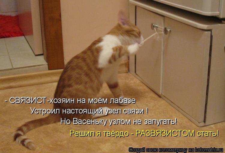 - СВЯЗИСТ-хозяин на моём лабазе Устроил настоящий узел связи ! Но Васеньку узлом не запугать! Решил я... Котоматрица: - СВЯЗИСТ-хозяин на моём лабазе Устроил настоящий узел связи ! Но Васеньку узлом не запугать! Решил я твёрдо - РАЗВЯЗИСТОМ стать!