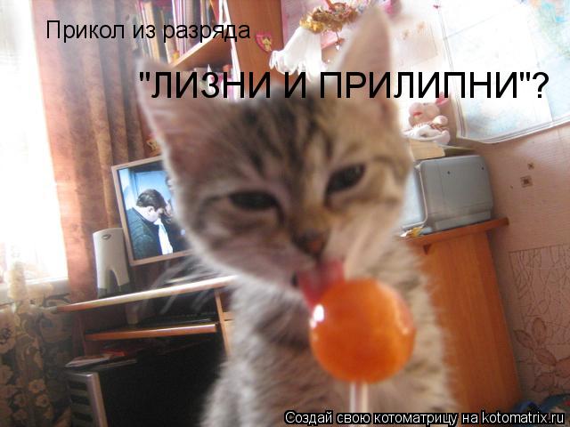 Прикол из разряда "ЛИЗНИ И ПРИЛИПНИ"?... Котоматрица: Прикол из разряда "ЛИЗНИ И ПРИЛИПНИ"?