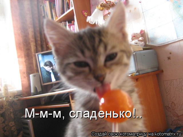 М-м-м, сладенько!..... Котоматрица: М-м-м, сладенько!..