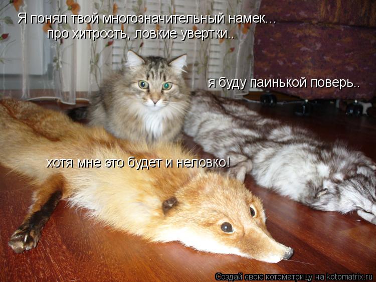 Я понял твой многозначительный намек... про хитрость, ловкие увертки.. я буду паинькой поверь.. хотя ... Котоматрица: Я понял твой многозначительный намек... про хитрость, ловкие увертки.. я буду паинькой поверь.. хотя мне это будет и неловко!