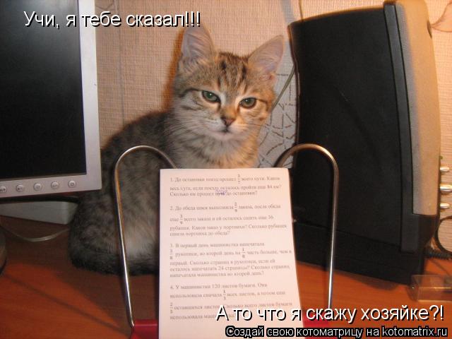 Котоматрица: Учи, я тебе сказал!!! А то что я скажу хозяйке?!