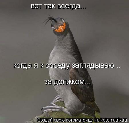 вот так всегда... когда я к соседу заглядываю... за должком...... Котоматрица: вот так всегда... когда я к соседу заглядываю... за должком...