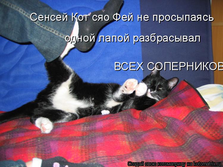 Сенсей Кот сяо Фей не просыпаясь одной лапой разбрасывал ВСЕХ СОПЕРНИКОВ... Котоматрица: Сенсей Кот сяо Фей не просыпаясь одной лапой разбрасывал ВСЕХ СОПЕРНИКОВ