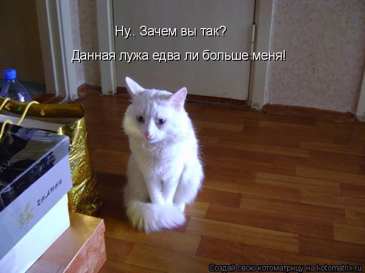 Ну.. Зачем вы так? Данная лужа едва ли больше меня!... Котоматрица: Ну.. Зачем вы так? Данная лужа едва ли больше меня!