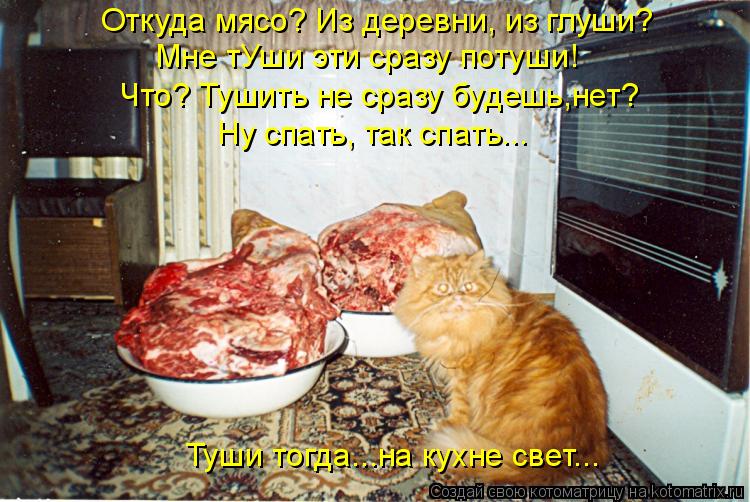 Откуда мясо? Из деревни, из глуши? Мне тУши эти сразу потуши! Что? Тушить не сразу будешь,нет? Ну спа... Котоматрица: Откуда мясо? Из деревни, из глуши? Мне тУши эти сразу потуши! Что? Тушить не сразу будешь,нет? Ну спать, так спать... Туши тогда...на кухне свет...