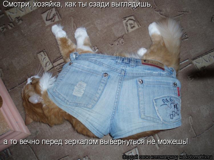 Котоматрица: Смотри, хозяйка, как ты сзади выглядишь, а то вечно перед зеркалом вывернуться не можешь!