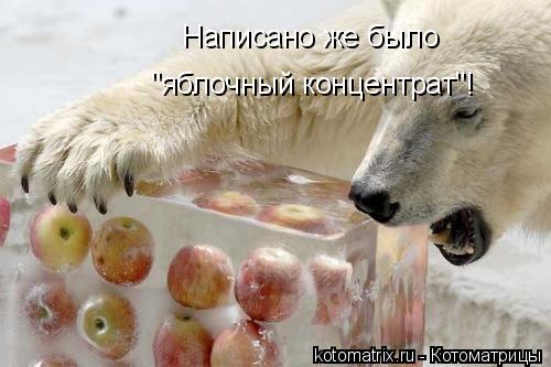 Котоматрица: Написано же было  "яблочный концентрат"!