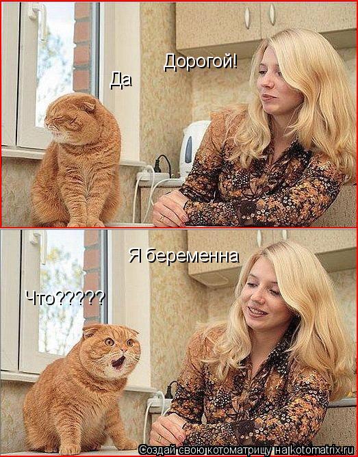 Котоматрица: Дорогой! Да Я беременна Что?????