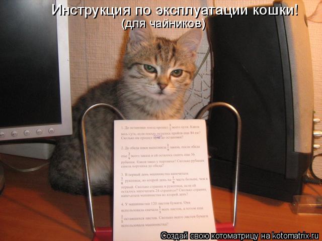 Котоматрица: Инструкция по эксплуатации кошки! (для чайников)