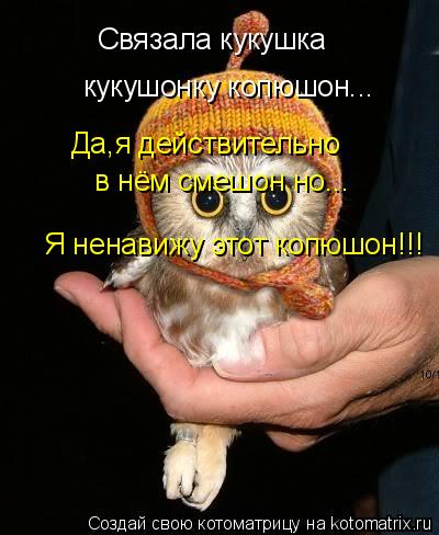 Котоматрица: Связала кукушка кукушонку копюшон... Да,я действительно в нём смешон но... Я ненавижу этот копюшон!!!