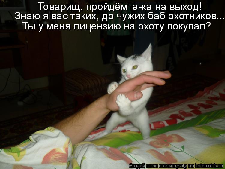 Котоматрица: Товарищ, пройдёмте-ка на выход! Знаю я вас таких, до чужих баб охотников... Ты у меня лицензию на охоту покупал?