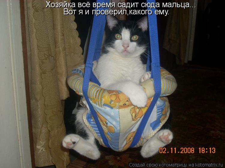 Котоматрица: Хозяйка всё время садит сюда мальца... Вот я и проверил,какого ему.
