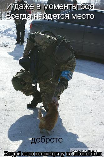 Котоматрица: И даже в моменты боя Всегда найдется место Всегда найдется место доброте доброте