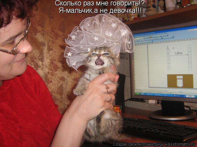 Котоматрица: Сколько раз мне говорить!? Я-мальчик,а не девочка!!!