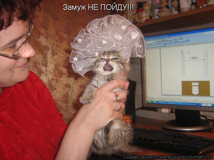 Котоматрица: Замуж НЕ ПОЙДУ!!!