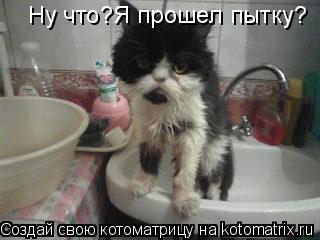 Котоматрица: Ну что?Я прошел пытку?
