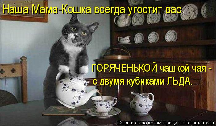 Котоматрица: Наша Мама-Кошка всегда угостит вас ГОРЯЧЕНЬКОЙ чашкой чая - с двумя кубиками ЛЬДА.