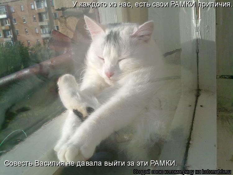 У каждого из нас, есть свои РАМКИ приличия. Совесть Василия не давала выйти за эти РАМКИ.... Котоматрица: У каждого из нас, есть свои РАМКИ приличия. Совесть Василия не давала выйти за эти РАМКИ.