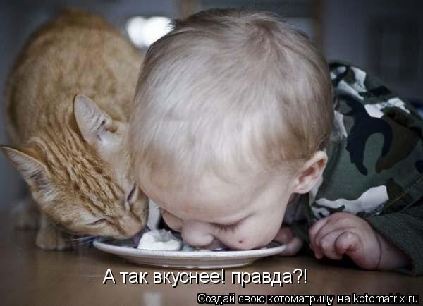 А так вкуснее! правда?!... Котоматрица: А так вкуснее! правда?!