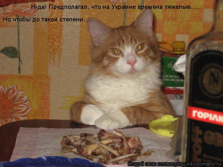 Н-да! Предполагал, что на Украине времена тяжелые..... Но чтобы до такой степени......... Котоматрица: Н-да! Предполагал, что на Украине времена тяжелые..... Но чтобы до такой степени......