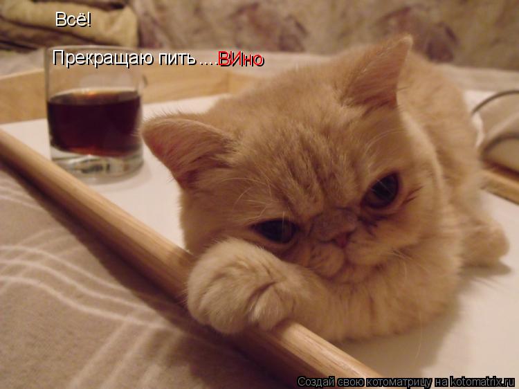 Котоматрица: Всё! Прекращаю пить .... ВИно ВИно