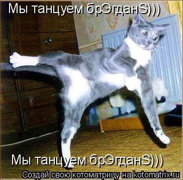 Котоматрица: Мы танцуем брЭгданS))) Мы танцуем брЭгданS)))