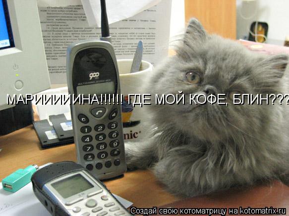 Котоматрица: МАРИИИИИНА!!!!!! ГДЕ МОЙ КОФЕ, БЛИН????!!!!!!