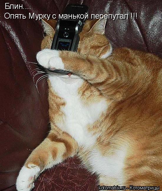 Блин.... Опять Мурку с манькой перепутал !!!... Котоматрица: Блин.... Опять Мурку с манькой перепутал !!!