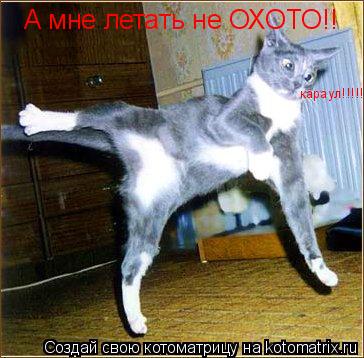 Котоматрица: А мне летать не ОХОТО!! караул!!!!!