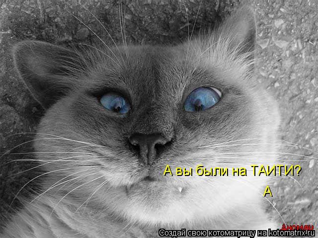 Котоматрица: А вы были на ТАИТИ? А