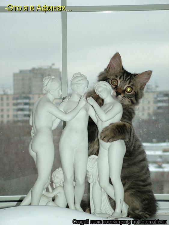 Котоматрица: -Это я в Афинах...