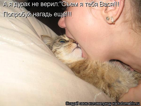 А я дурак не верил:"Съем я тебя Вася!!! Попробуй нагадь ещё!!!... Котоматрица: А я дурак не верил:"Съем я тебя Вася!!! Попробуй нагадь ещё!!!